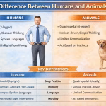 https://www.inavitnews.com/difference-between-humans-and-animals/