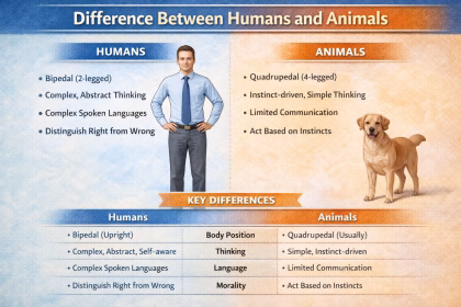 https://www.inavitnews.com/difference-between-humans-and-animals/