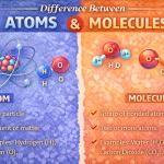 Difference Between Atoms and Molecules Explained Simply