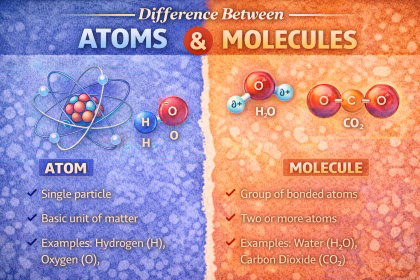 Difference Between Atoms and Molecules Explained Simply