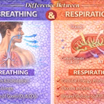 Difference Between Breathing and Respiration Explained
