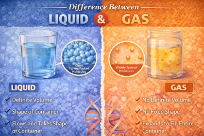 Difference Between Liquid and Gas with Examples