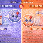 Difference Between Methanol and Ethanol Explained Simply