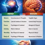 Difference Between Mind and Brain