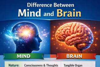 Difference Between Mind and Brain