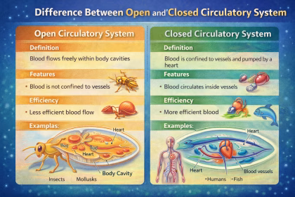 Difference Between Open and Closed Circulatory System