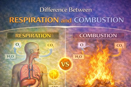 Difference Between Respiration and Combustion in Biology