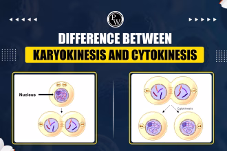 Difference Between Cytokinesis and Karyokinesis in Cell Division
