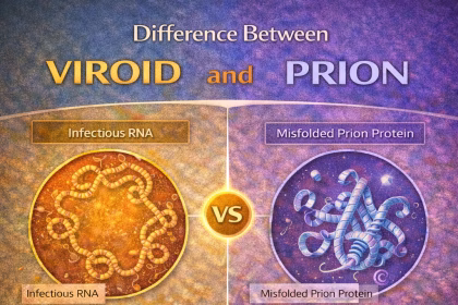 Difference Between Intensive and Extensive Farming
