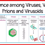 difference-between-viroid-and-prion