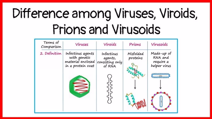 difference-between-viroid-and-prion
