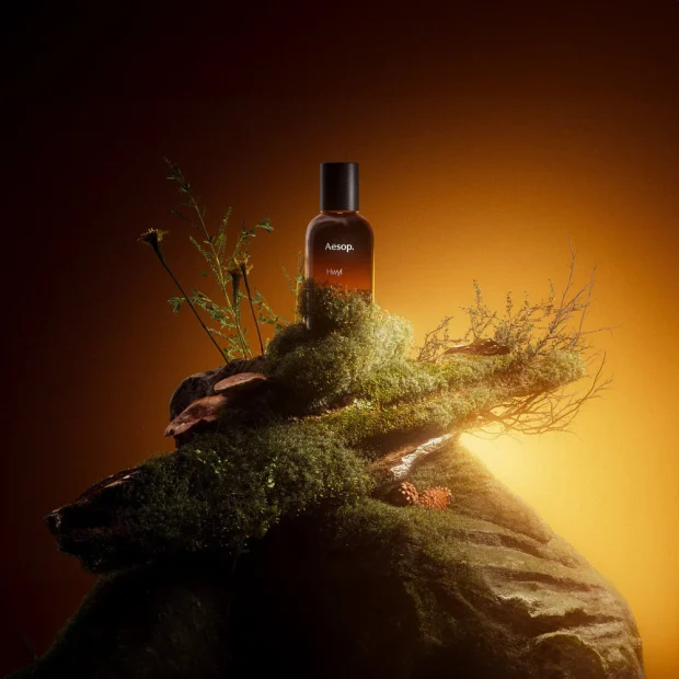 Aesop Hwyl