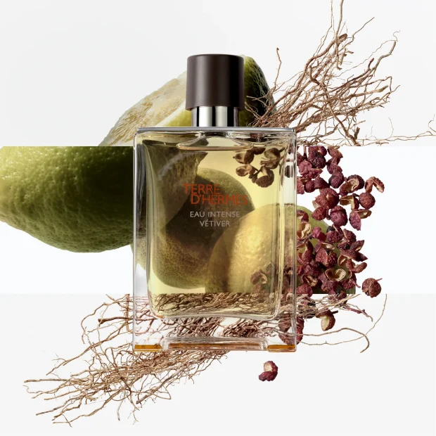 Hermès Terre d’Hermès