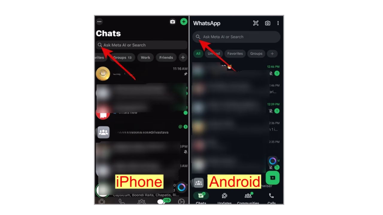 Search (Magnifying Glass) Icon